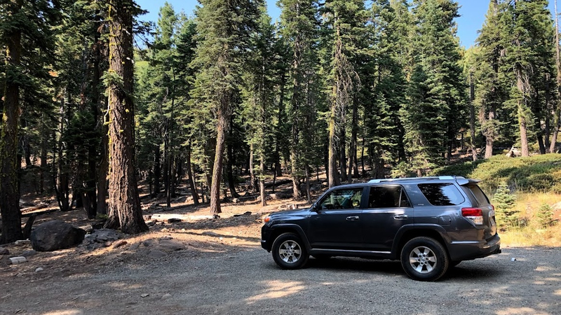 The wild 4Runner caught on game camera.